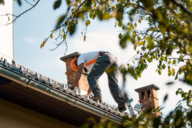 Quick and Trustworthy Emergency Roof Repair Services in Nitro, WV