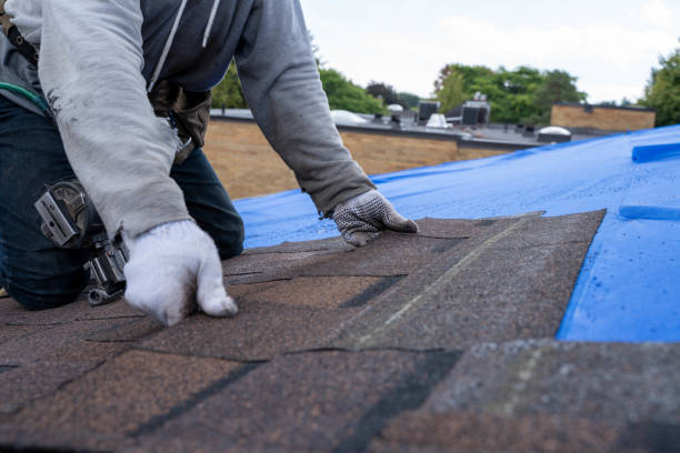 Gutter Installation and Roofing in Nitro, WV