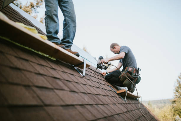 Quick and Trustworthy Emergency Roof Repair Services in Nitro, WV